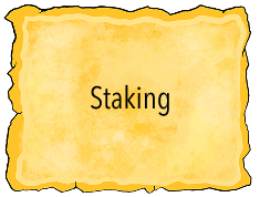 Staking