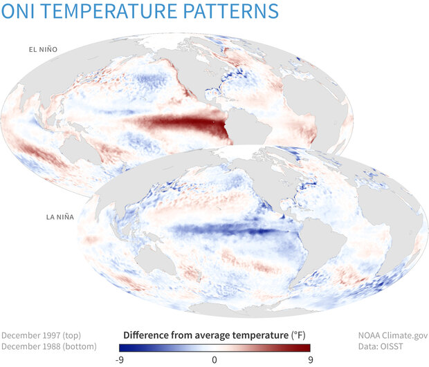 Température de surface de la mer durant El Niño et La Niña